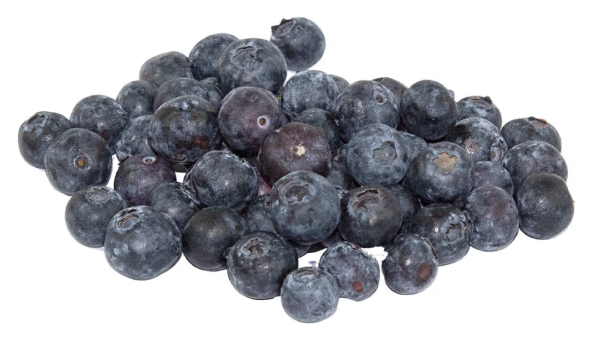 Blueberries